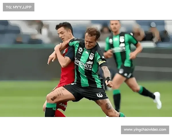 NBL焦点战珀斯野猫主场迎战东南墨尔本凤凰，防守经验与进攻火力对决